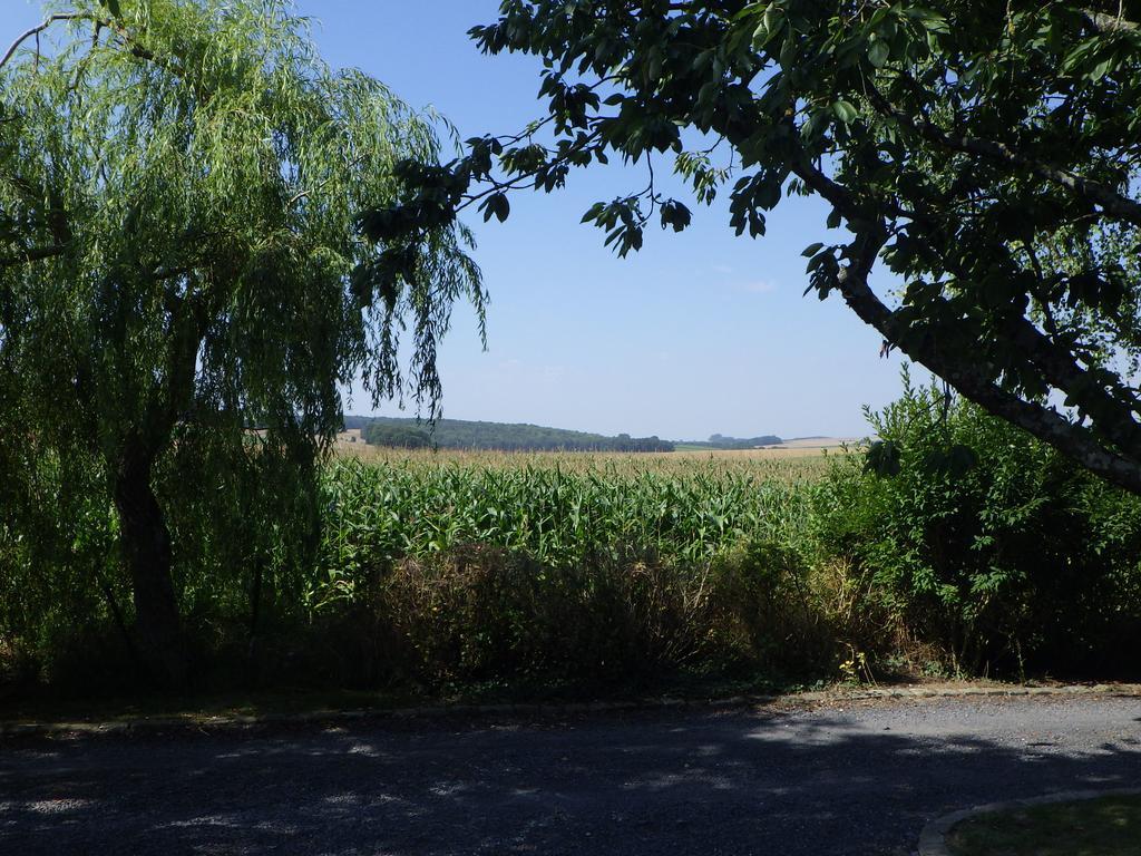 Les Gites Du Vieux Frene Longavesnes ภายนอก รูปภาพ